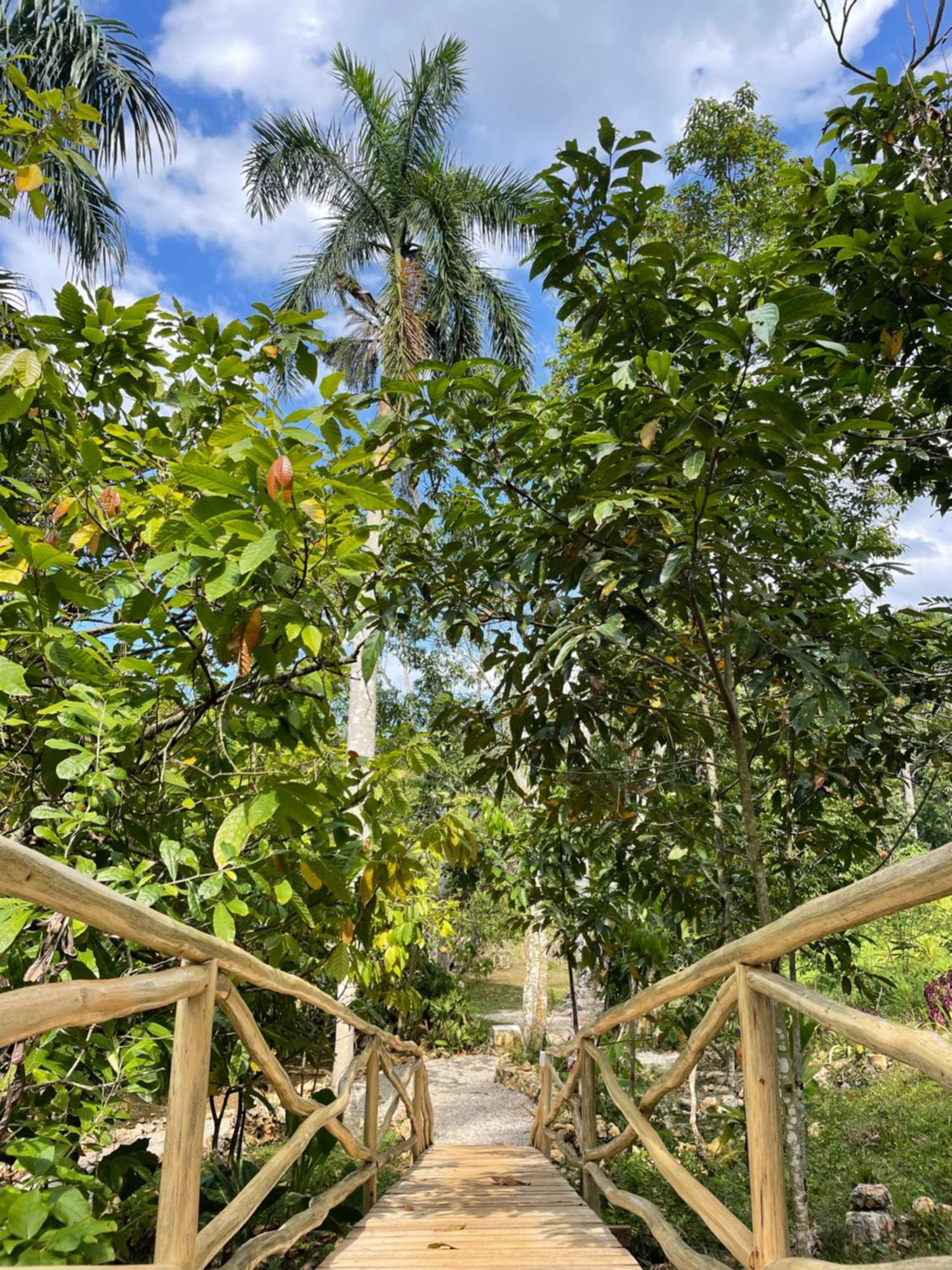 Rancho Romana Ecolodge Park V-01 El Limon Kültér fotó