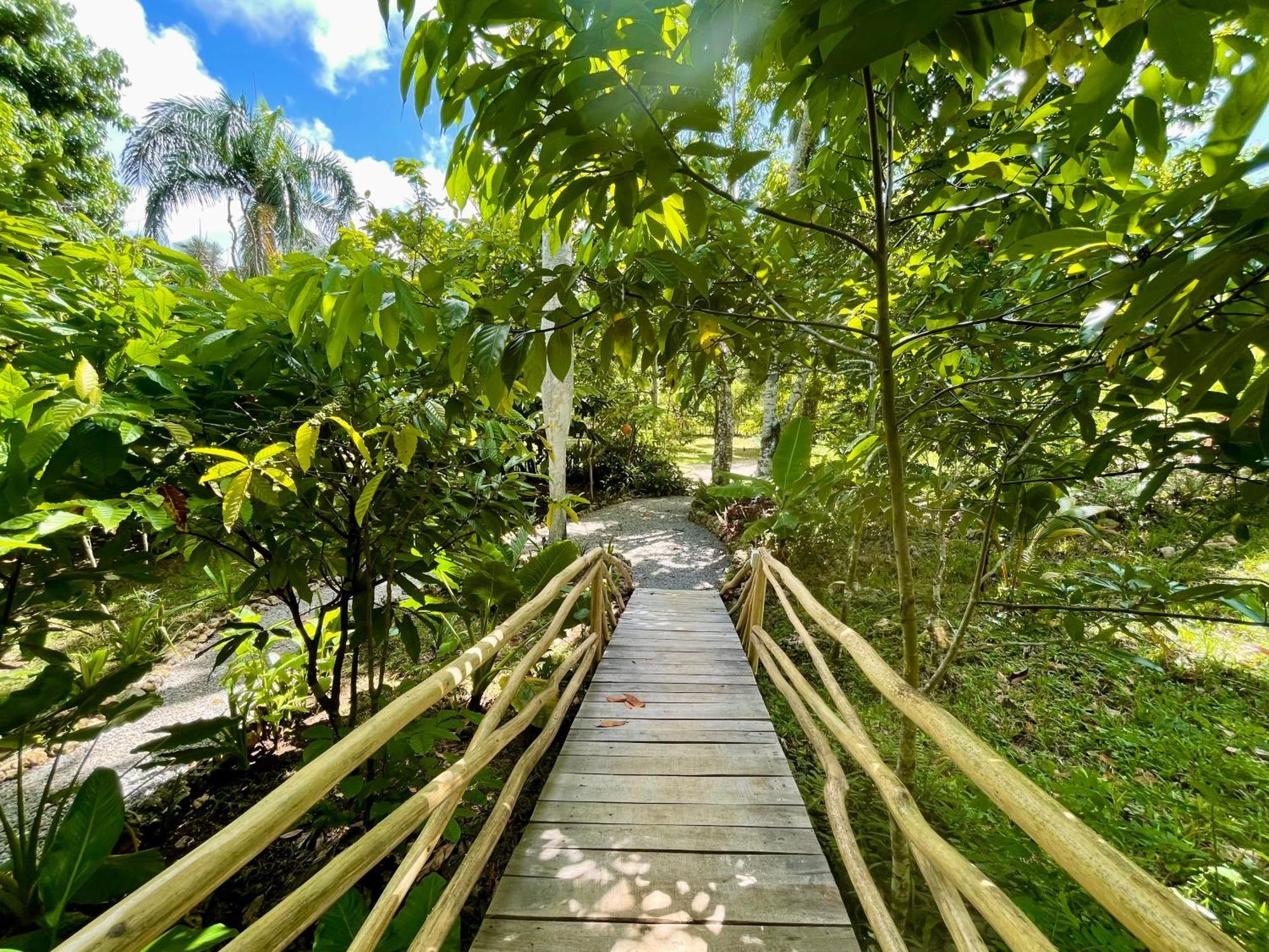 Rancho Romana Ecolodge Park V-01 El Limon Kültér fotó